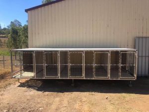 Dog boxes and crates