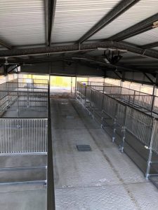 Horse stables quality steel